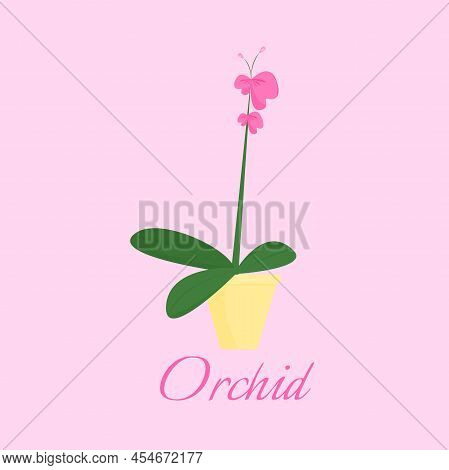 Cute Orchid Flowers. Home Flower In A Pot For The Interior. Flat Vector Illustration For Poster, Pos