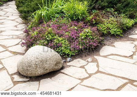 Stone Paths With Pink Heather And Juniper In The Botanical Garden