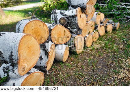 Background Of Birch Chocks. Alternative To Gas Heating. Fuel For Heating The House In Winter. Lots O