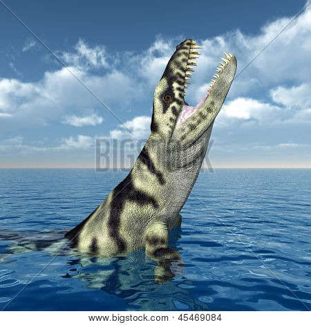 Dakosaurus