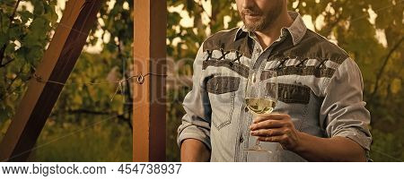Cropped Oenologist Man Hold Wine Glass At Winery Outdoor, Summer