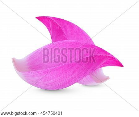 Lotus Petal Isolated On White Background.flower Of Buhda.