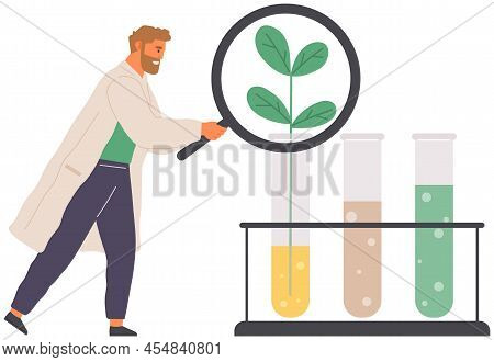 Scientists Make Laboratory Analysis Of Life System And Organisms. Idea Of Education, Botany, Microbi