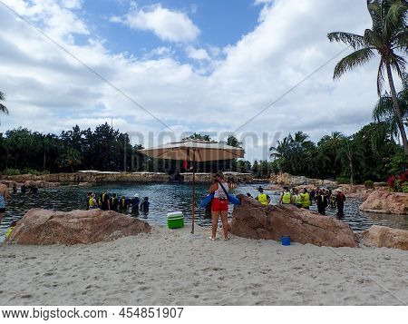 People Particpating In A Dolphin Encounter At Discovery Cove Seworld.