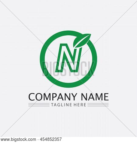 N Letter Logo Template