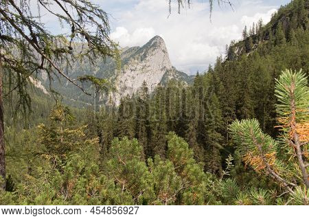 The View Of Landscape With Mountain Massif Seeing Through Green Forest, Dolomites, Italian Alps.