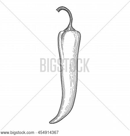 Eco Pepper Icon Outline, Hand Drawn Vector. Red Cartoon. Paprika