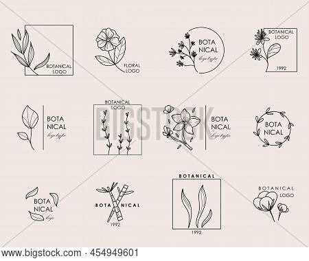 Hand Drawn Botanical Logo. Floral Line Emblem, Natural Logotype Template For Spa And Beauty Salon, B