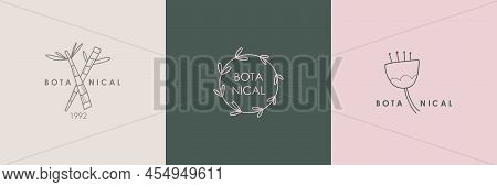 Hand Drawn Botanical Logo. Floral Line Emblem, Natural Logotype Template For Spa And Beauty Salon, B