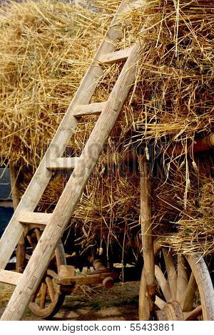 Agricultural Wagon With Stacked Straw