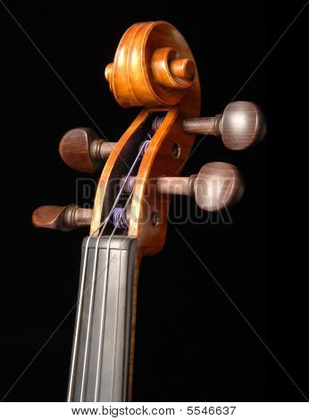 Paletta e violino Scroll