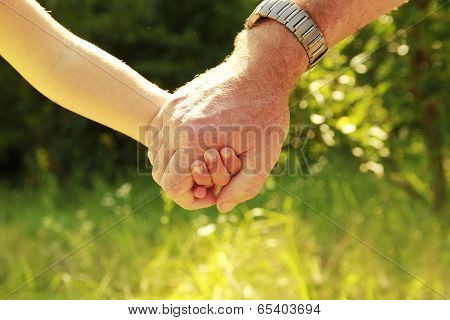 Parent Holds The Hand Of A Small Child