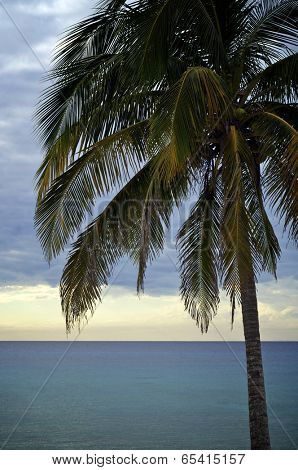 sunset at the beach tropical Maria la Gorda, Guanahacabibes Peninsula in Cuba