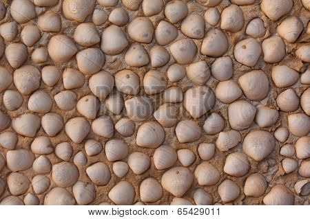Shells