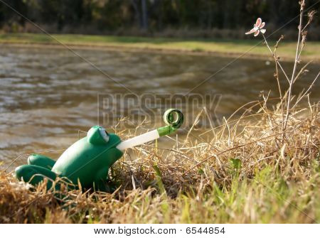 Improvisoida
