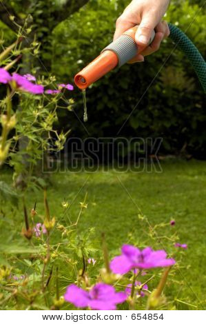 Hosepipe forbud