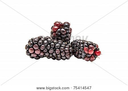 Blackberry