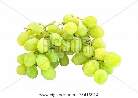White grape