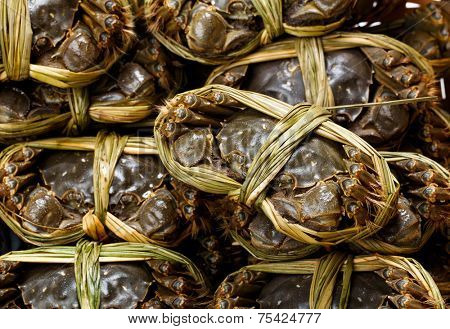 Shanghai crabs