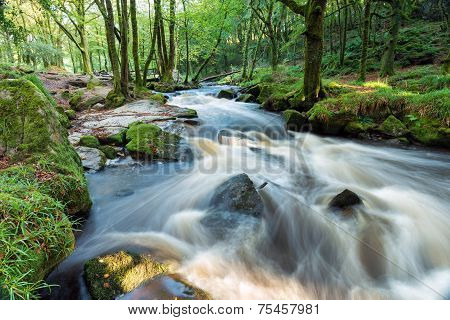 The River Fowey At Golitha Falls
