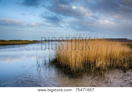 Stanpit Marsh