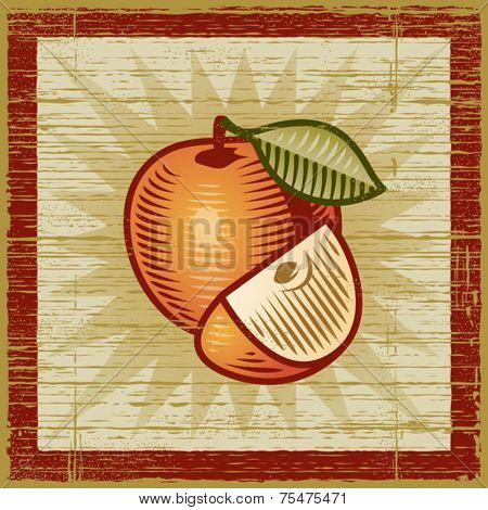 Retro apple. Vector
