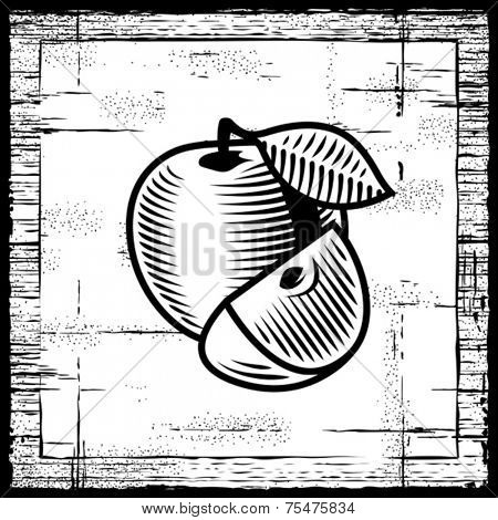 Retro apple black and white. Vector