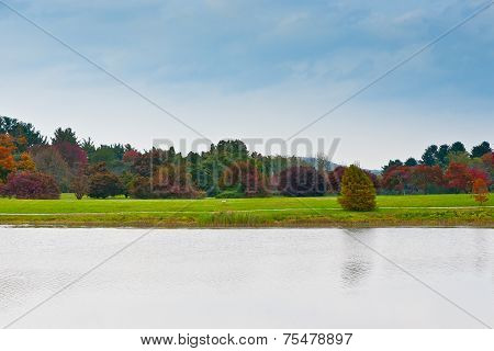 Group Of Colorful Autumn Trees Standing On A Meadow By Lake.