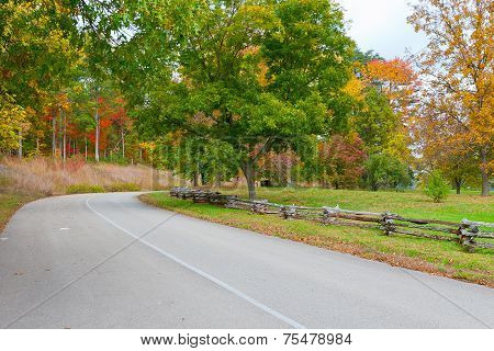 Road In Autumn Park.