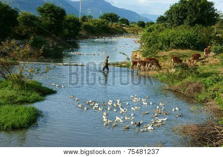 Amazing Scene, Vietnamese Village, Vietnam Travel