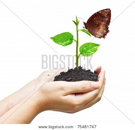 Love nature