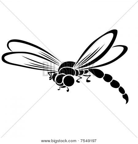 Dragonfly