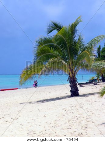 Palm Beach