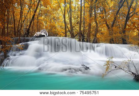 Two White Tiger At Waterfall In Deep Rain Forest Jungle. (huay Mae Kamin Waterfall In Kanchanaburi P