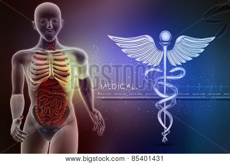 human anatomy and caduceus sign
