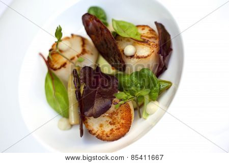 Saint-jacques Dish