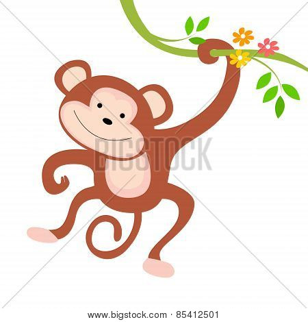 Monkey