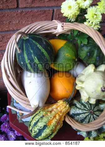 melony, rosliny basztanowe