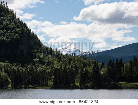 Chitina Landscape