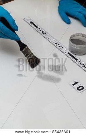Fingerprint