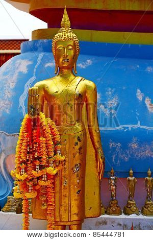 Siddharta   In The Temple Bangkok Asia   Blue Flower