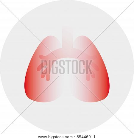 lung