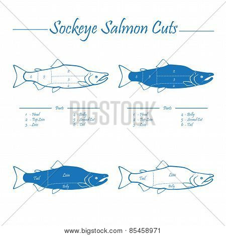 Sockeye Salmon Cuts Diagram