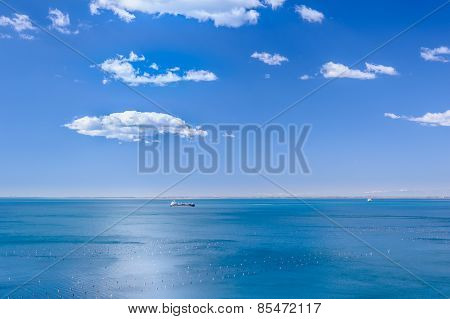 Blue In Blue, Marine Scene