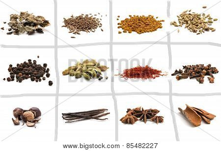 Set of different spices
