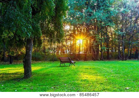 Bench In Park