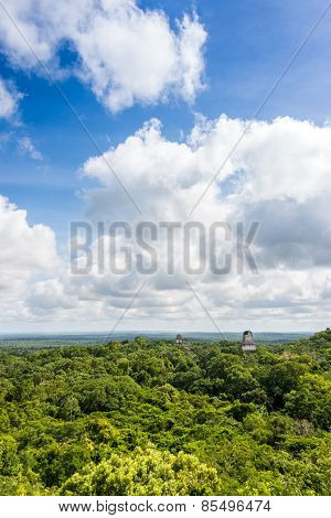Panoramic View Of Rainforest And Mayan Ruins . Tikal National Park Traveling Through Guatemala.