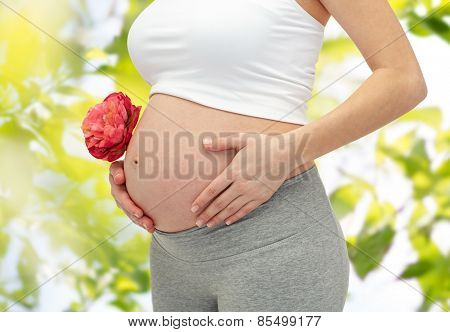 pregnancy, motherhood, people, summer and expectation concept - close up of happy pregnant woman with flower touching her bare tummy over green tree leavers background