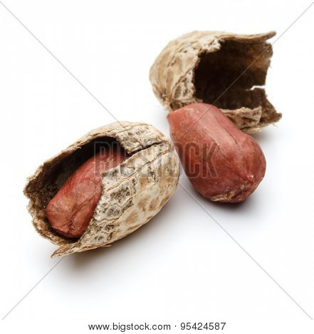 peanut pod or arachis isolated on white background cutout