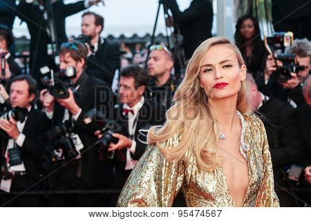 Cannes, France - May 16, 2015: Natasha Poly attends the Premiere of 'The Sea Of Trees' during the 68th annual Cannes Film Festival on May 16, 2015 in Cannes, France. 